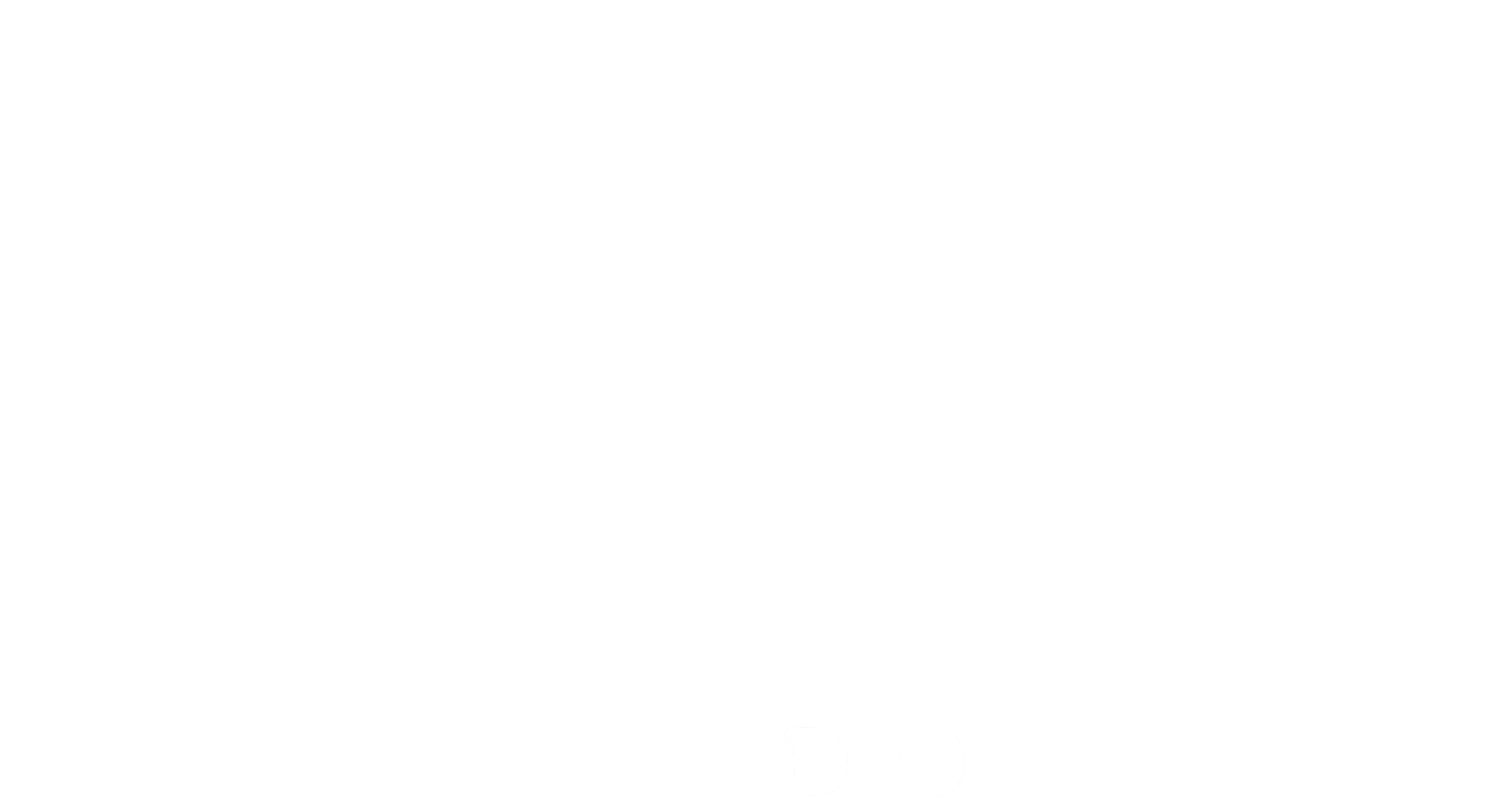 Partner 2